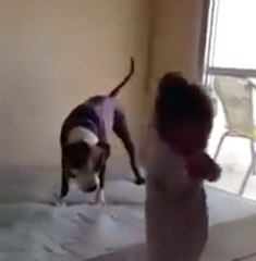 This dog just wants to bounce on the bed, too…