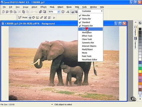 CorelDRAW Graphics Suite X3 (Suite Interface) Application Windows