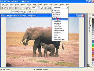 CorelDRAW Graphics Suite X3 (Suite Interface) Application Windows