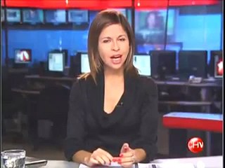 El gato héroe que reanima y salva a su amigo