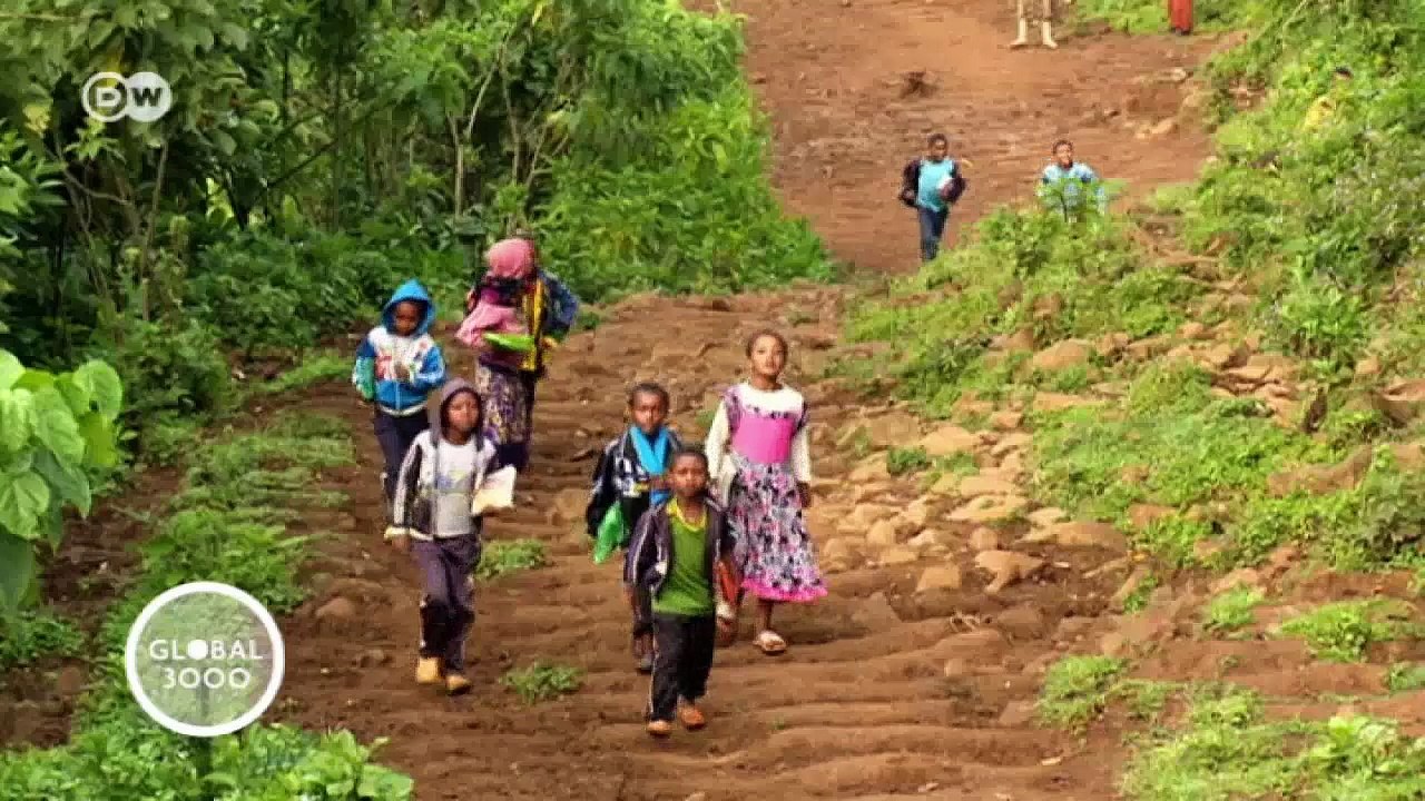 Didos, heilige orte im wald | global 3000