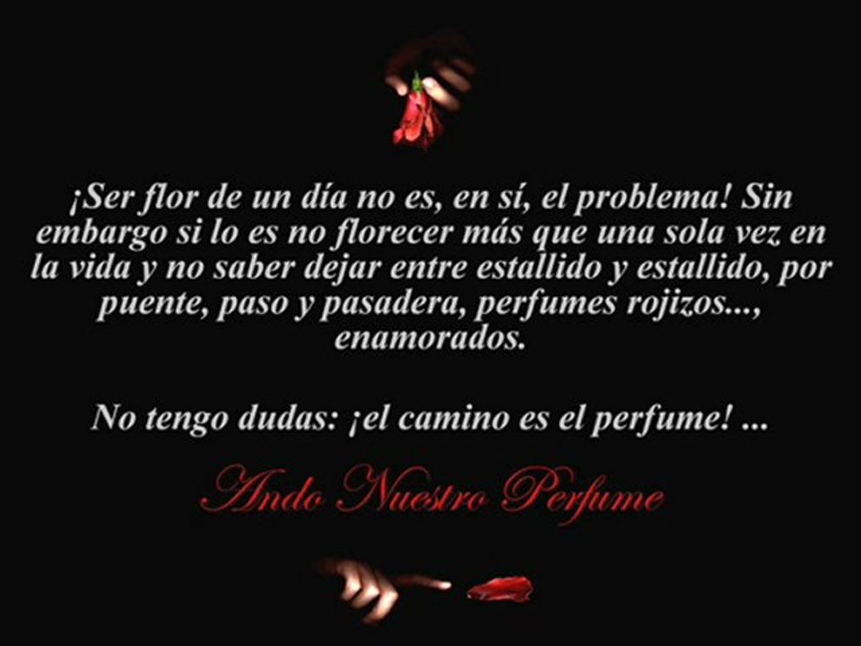 Francesc Picas "A Ultramar I"