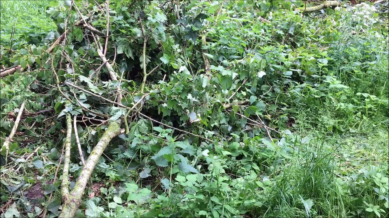 Zukunft baut Pinneberg - An der Mühlenau Mai 2016 /Full Film/Complete Movie/Ganzer Film