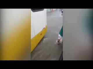 Seli görüntülerken bakın başına ne geldi