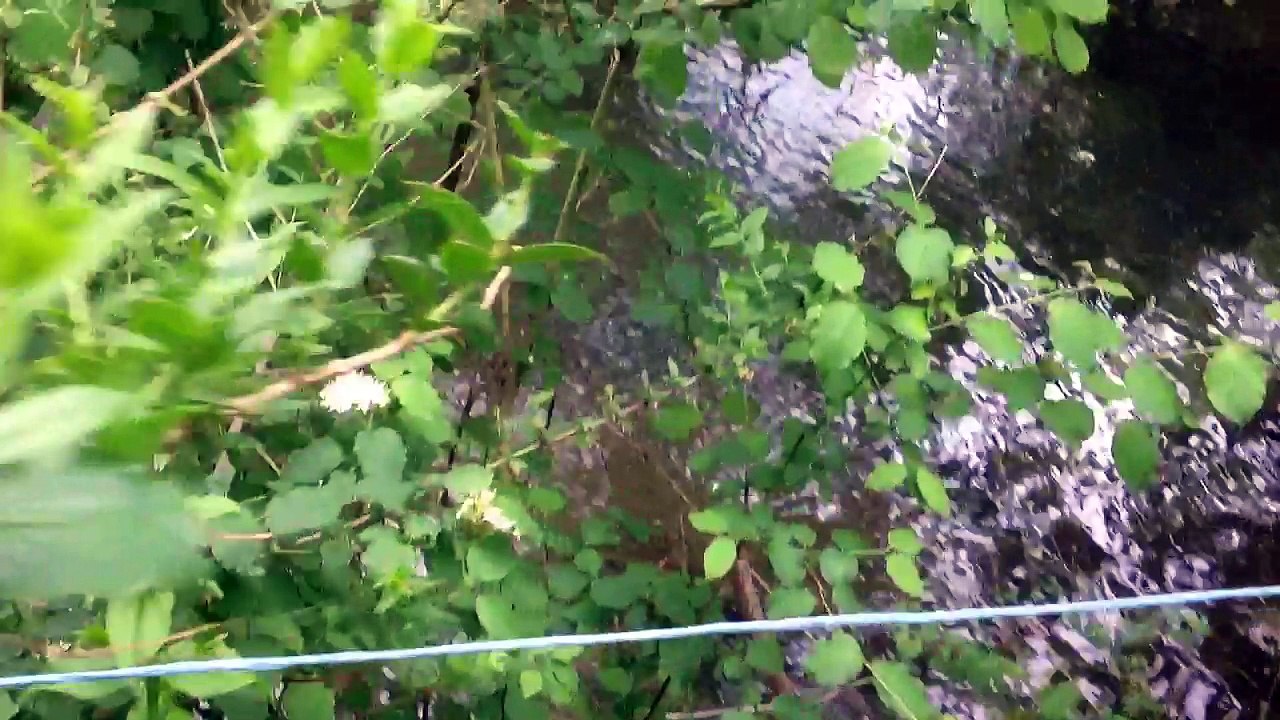 Présentation de mon "bélier hydraulique" maison