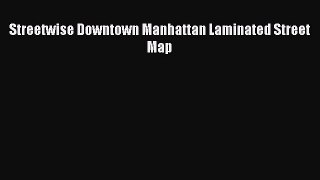 Read Streetwise Downtown Manhattan Laminated Street Map Ebook Free