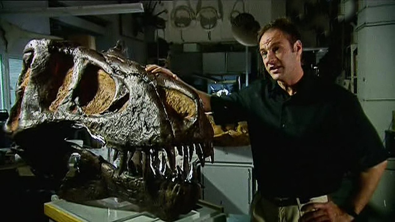 BBC horizon По лабиринтам динозавриады / Dinosaurs: A Horizon Guide (2011)