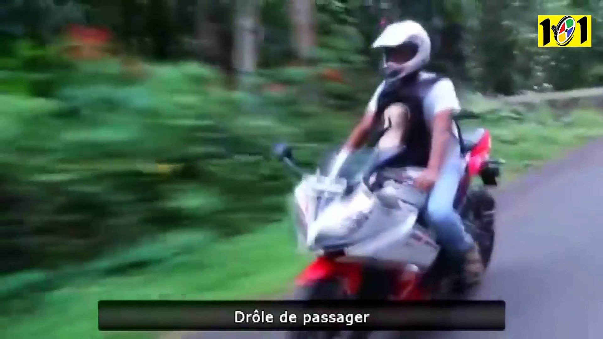 Сумасшедшие и Забавные Животные - ЛУЧШИЕ Приколы