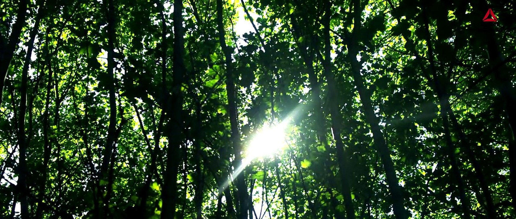 Laury Thilleman, Brahim Asloum et 'Les aventuriers' seront au départ de la Reebok Spartan Race de Paris les 4 et 5 juin