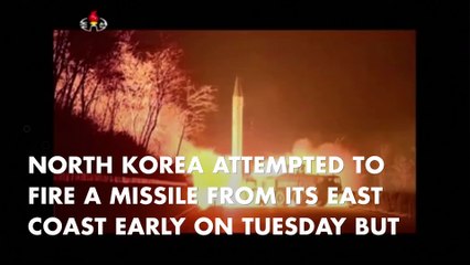 Attempted North Korea missile launch fails