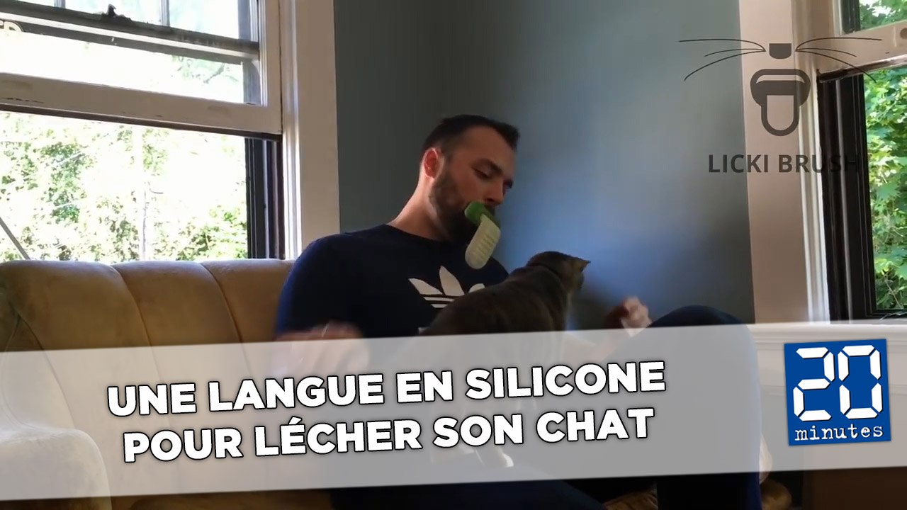 Une langue en silicone pour lécher son chat