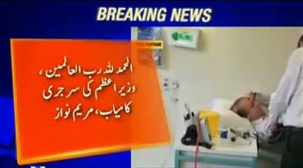 It was successful - Finally Maryam Nawaz tweets on completion of PM's Surgery