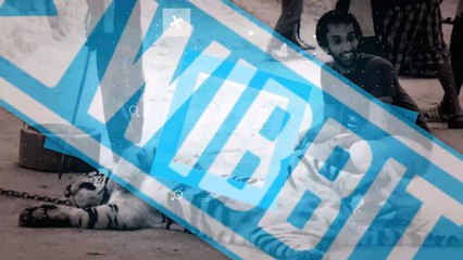 137 tigers rescued from Thailand's popular Tiger Temple