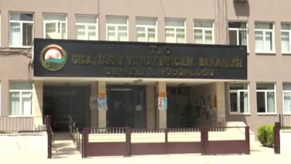 Fetö/pdy Operasyonu - Denizli