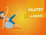Pilates : la brasse pour renforcer les muscles dorsaux