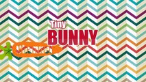 Finger Family Peppa Pig Halloween Lollipop | Nursery Rhymes for Kids