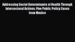 Read Addressing Social Determinants of Health Through Intersectoral Actions: Five Public Policy