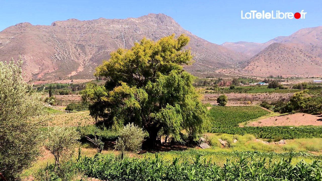 EPISODE 6/11 - Cuatro Manos, les Pionniers de la Cordillère des Andes