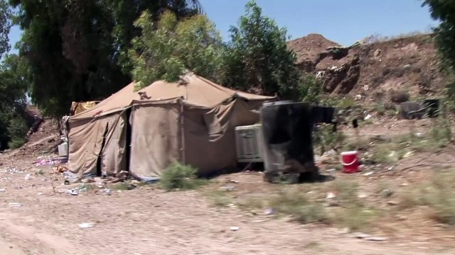 القوات العراقية تقتحم الفلوجة معقل تنظيم الدولة الاسلامية