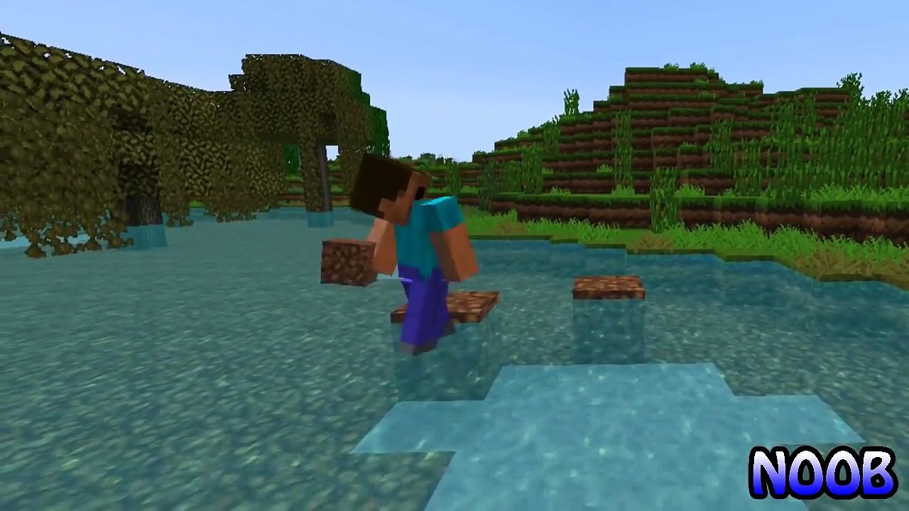Noob vs pro