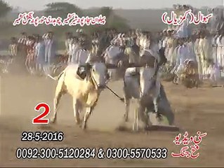 T.A.M.A.S.H.A 2nd Time at Sehwal (Kamrial) Pehlwan Sajad CH Maunawer Kashmir