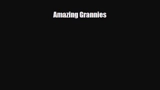 PDF Amazing Grannies  EBook