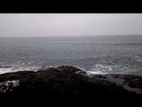 Dolphins Put on Display at Inchydoney Island, Ireland