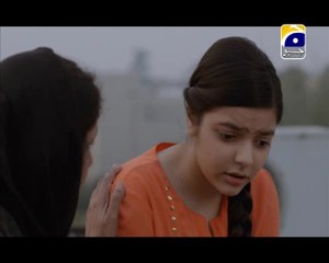 Shaam Dhalay - Episode 12