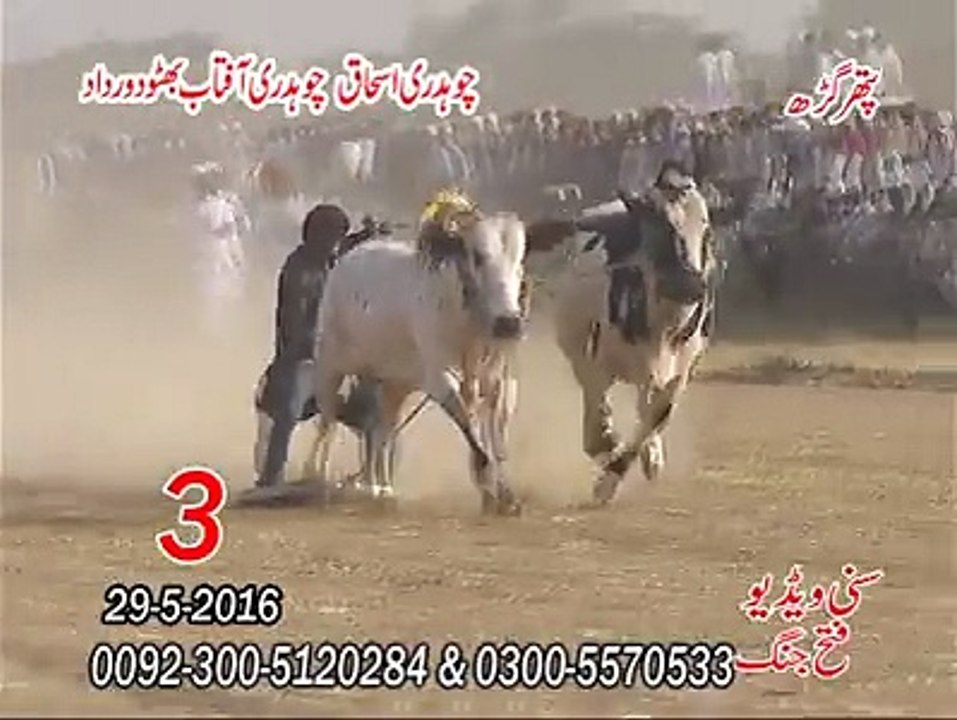 T.A.M.A.S.H.A 3rd Time at Pather GerhCH Ishaq and Ch Aftab 29-05-2016