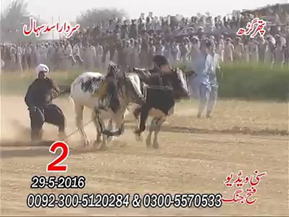 T.A.M.A.S.H.A 2nd Time at Pather GerhSardar Asad Sihal 29-05-2016