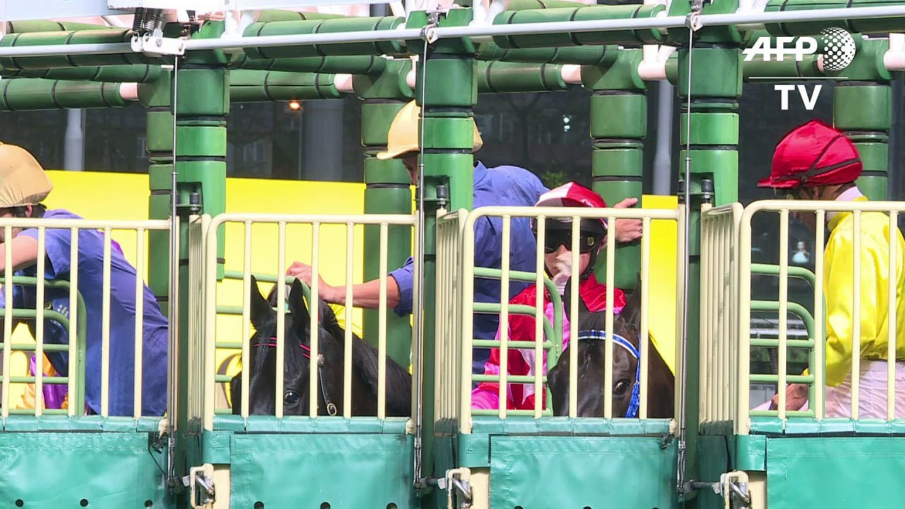 Hongkong - ein Königreich für Pferdewetten