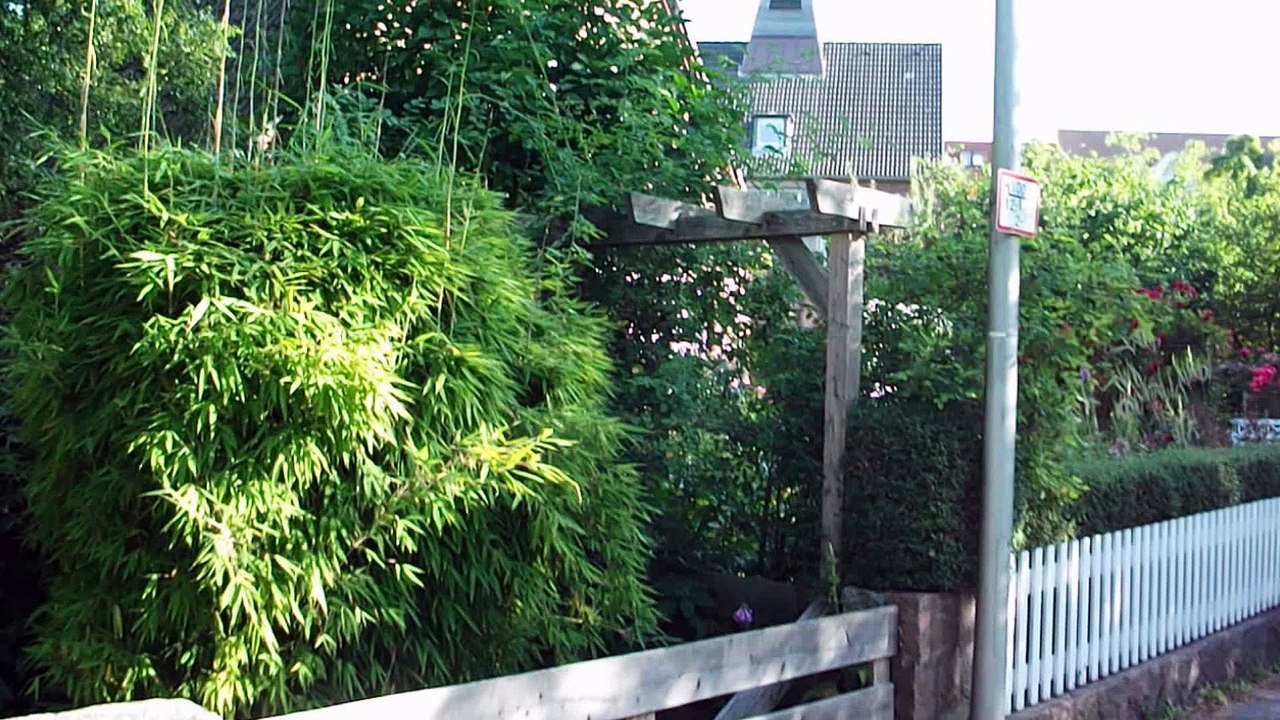 House with a beautiful garden