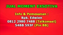 0812 2980 7488 (Telkomsel), Isi Moment Exotica