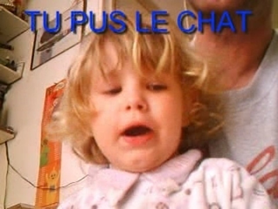 Tu pus le chat