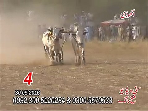 T.A.M.A.S.H.A 4th Time at Akhori