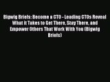 Read Bigwig Briefs: Become a CTO - Leading CTOs Reveal What it Takes to Get There Stay There