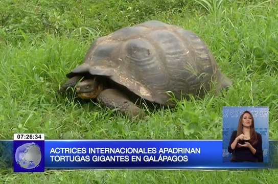 Actrices internacionales apadrinan tortugas gigantes en Galápagos