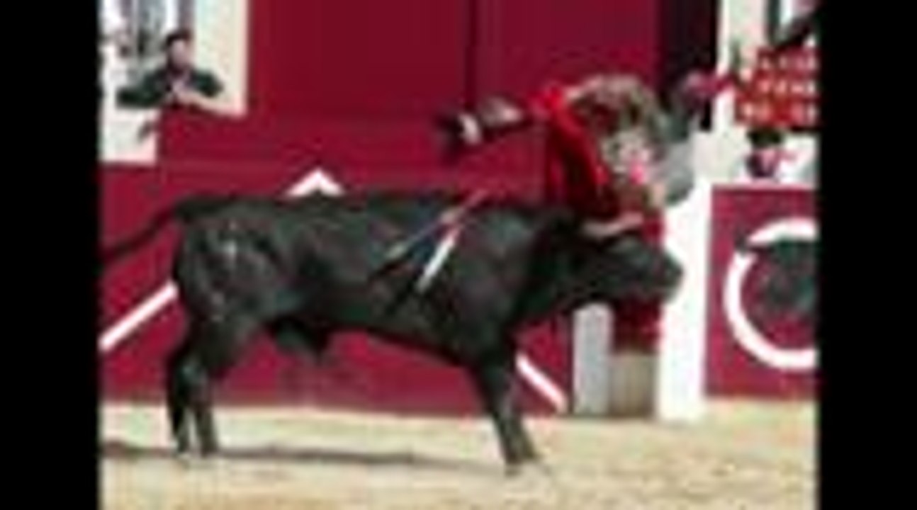 Novillada de Garlin - dimanche 10 avril 2016
