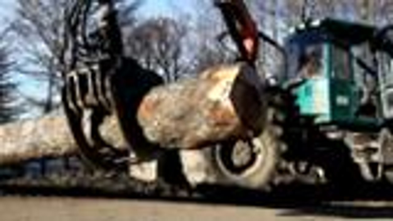 Débardage forestier à Arette