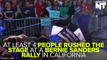Animal Rights Activists Interrupt Bernie Sanders Rally In California