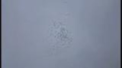 Vol de grues au-dessus de Bécheresse