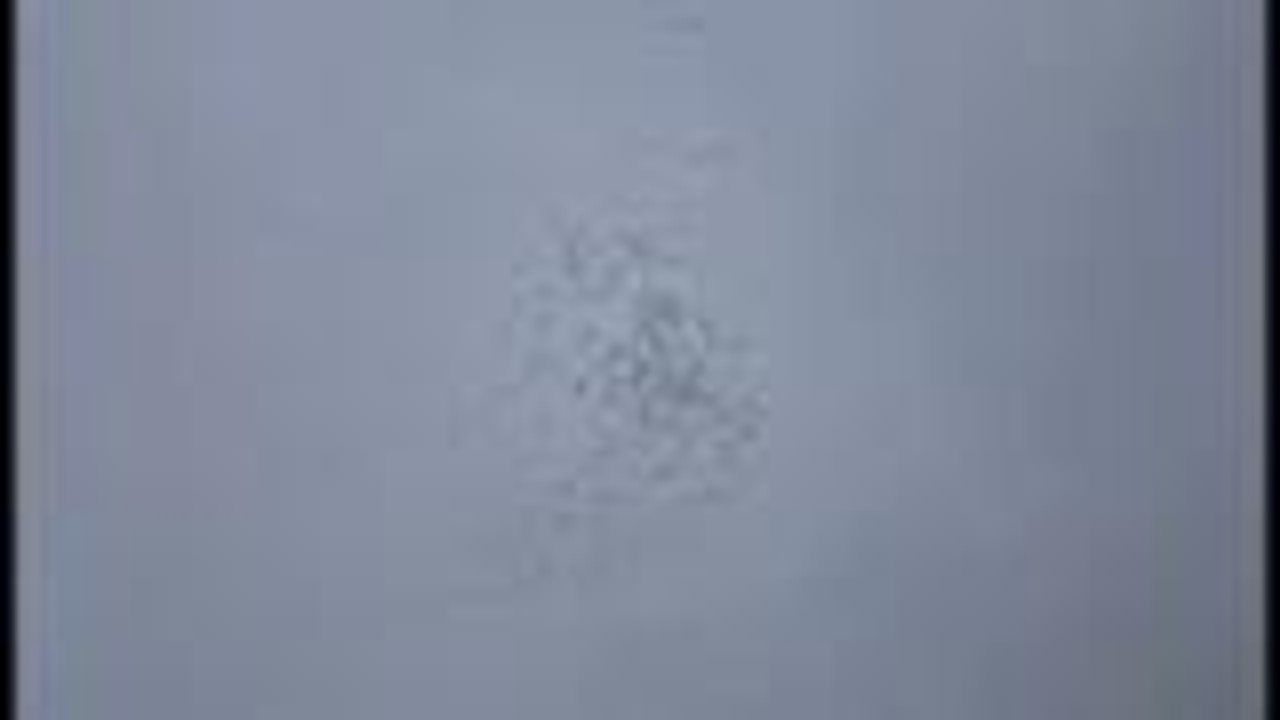 Vol de grues au-dessus de Bécheresse