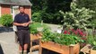 Raised Bed Delivery at Lavender Fields Herb Farm