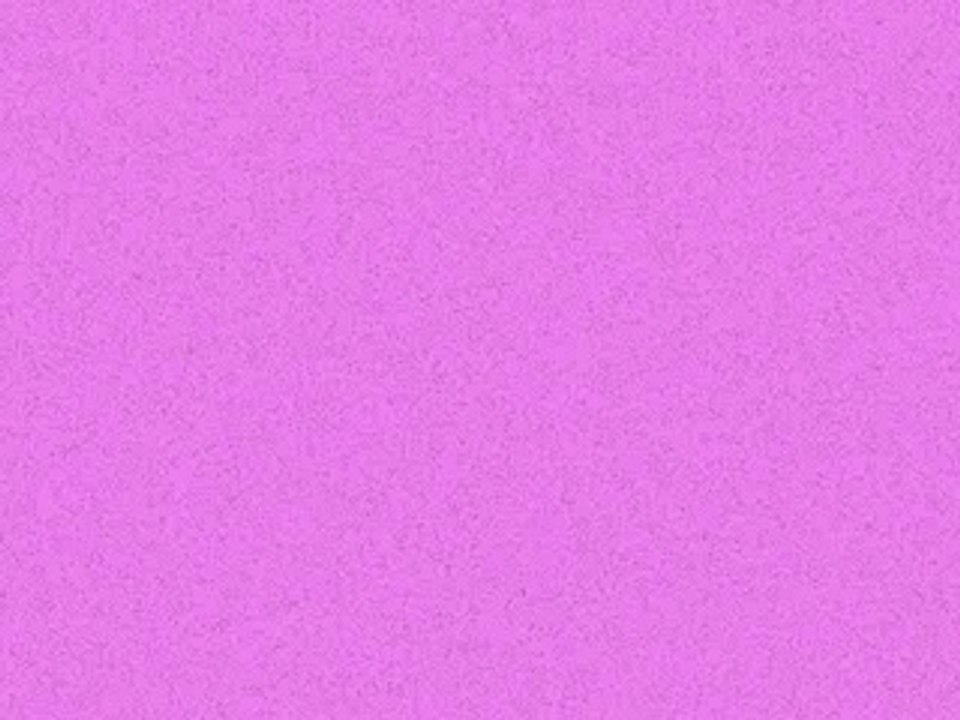 Palex_57