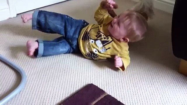 Chihuahua gioca con il Suo Amico a due Zampe