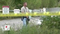 Alligators Feast On Body Found In Florida Canal