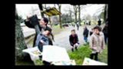 Pau : "La grande lessive" au quartier Saragosse