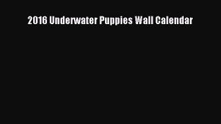 Read Books 2016 Underwater Puppies Wall Calendar ebook textbooks
