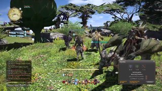 Dom Plays FFXIV The Road to FENRIR mount!!! (74)