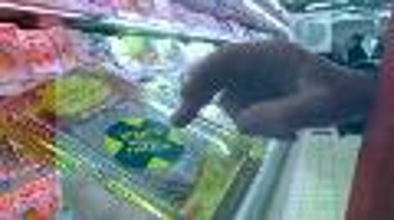 Les jeunes agriculteurs dans les supermarchés pour la traçabilité des viandes